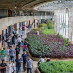 Governo do Brasil autoriza contratação de 6,7 mil novos cargos para professores e técnicos em universidades federais